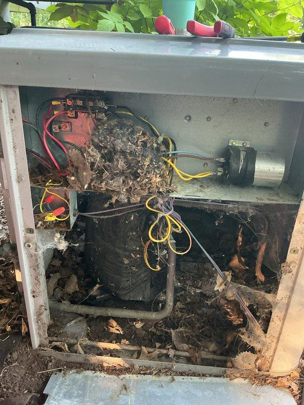 Responded to no cooling complaint on 21-year-old air conditioning unit. Found failed capacitor and extensive mouse nest in electrical compartment with chewed low voltage wiring. Removed all nesting material and debris from cabinet, replaced capacitor, and rewired damaged low voltage connections. Verified refrigerant charge within specification and confirmed all other system components operating properly. Unit restored to full operational status.