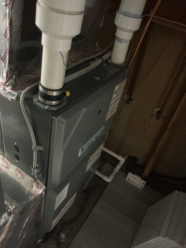 Responded to no cooling complaint on 21-year-old air conditioning unit. Found failed capacitor and extensive mouse nest in electrical compartment with chewed low voltage wiring. Removed all nesting material and debris from cabinet, replaced capacitor, and rewired damaged low voltage connections. Verified refrigerant charge within specification and confirmed all other system components operating properly. Unit restored to full operational status.