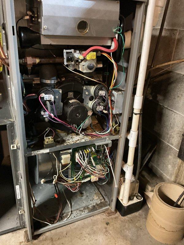 Responded to service call for heat pump producing thumping and wobbly noises during operation. Upon inspection, identified the source of the noise as the blower assembly. Discovered mice had infiltrated the blower wheel, causing the irregular sounds and vibration. Removed all rodent debris from the blower wheel and housing, cleaned affected components, and verified proper system operation. Unit tested and confirmed to be running quietly with normal airflow and no abnormal sounds following remediation.