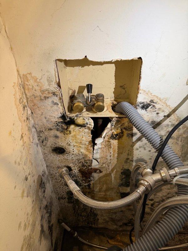 Responded to a water leak emergency in the laundry room where a washing machine supply line was missing a washer, resulting in significant water damage behind the appliance. Shut off the washing machine isolation valves and installed two caps on the supply line outlets to secure the water connections. Coordinated with water damage restoration contractor who will be handling drywall removal and remediation of the affected areas.