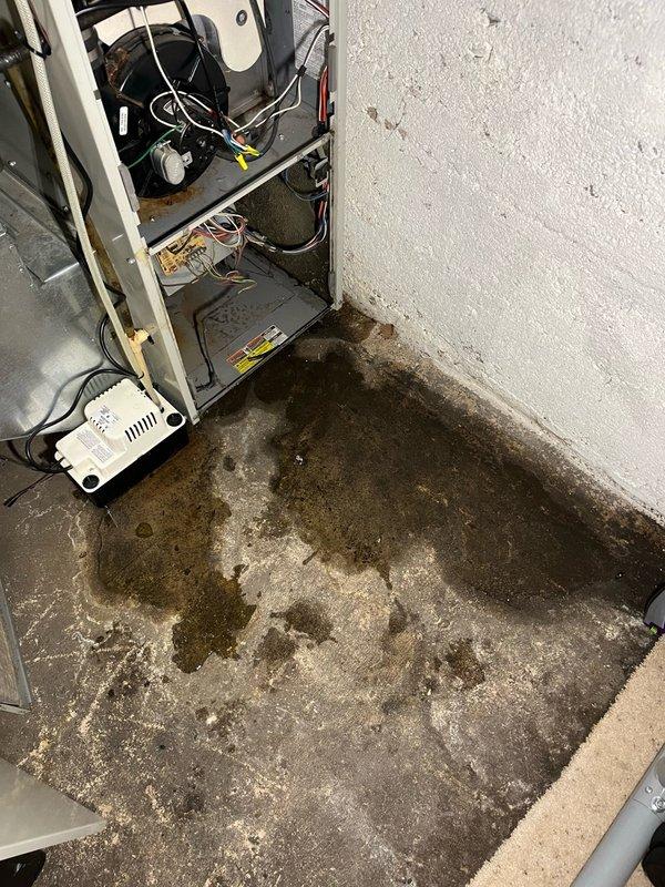 Responded to service call for water leaking from furnace unit. Upon arrival, discovered water leaking from above the furnace and traced source to evaporator coil with drain pan at full capacity. Inspection revealed evaporator drain line was completely blocked with accumulated debris, preventing proper drainage. Cleared blockage by blowing out built-up debris from evaporator drain line, restoring proper drainage function. Verified system operation by testing air conditioning unit, checked refrigerant pressures which were within normal range, and confirmed approximately 15-degree temperature differential across evaporator coil. System returned to normal operation with no further leaking observed.
