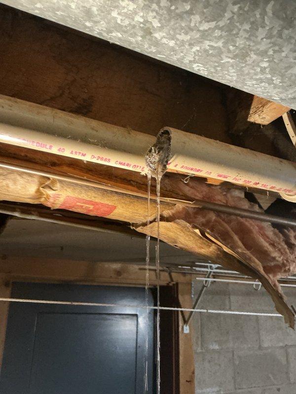 Responded to a bathtub drain backup caused by excessive hair accumulation in the drain line. Utilized a small flex shaft drain cleaning machine to break up and remove the hair obstruction from the 2" drain line. Successfully cleared the stoppage and restored proper drainage function to the fixture.