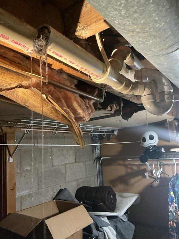 Responded to a bathtub drain backup caused by excessive hair accumulation in the drain line. Utilized a small flex shaft drain cleaning machine to break up and remove the hair obstruction from the 2" drain line. Successfully cleared the stoppage and restored proper drainage function to the fixture.