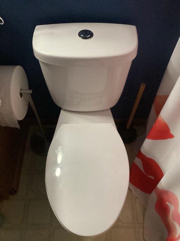 Responded to callback for non-flushing toilet following initial service visit. Upon inspection, discovered large chicken breast lodged in toilet exit trap causing complete blockage. Manually extracted obstruction from trap, verified clear drainage path, and reset toilet to proper working condition. Tested flush mechanism multiple times to confirm full functionality and proper water flow restored.