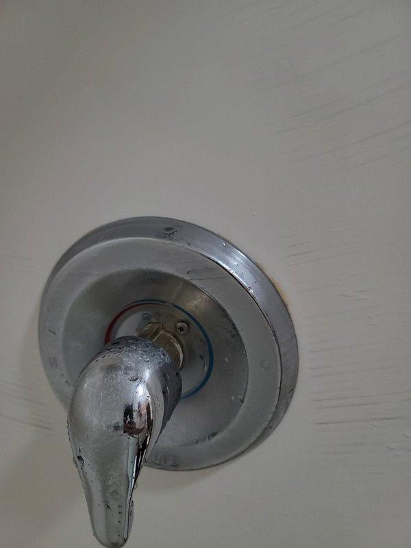 Responded to a dripping shower complaint and diagnosed a faulty shower cartridge as the source of the leak. Removed the existing chrome shower handle assembly, extracted the defective cartridge, and installed a new replacement cartridge to restore proper function and eliminate the water leak.