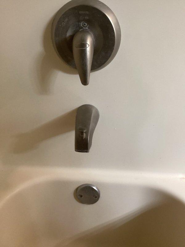 Completed comprehensive plumbing inspection of residential property. Investigated reported issue with downstairs faucet experiencing continuous running and dripping after shutoff. Inspected bathroom fixtures including tub/shower valve assemblies with brushed nickel finishes and Kohler shower valve trim. Documented condition of all plumbing fixtures and captured photographic evidence of installations for service records.