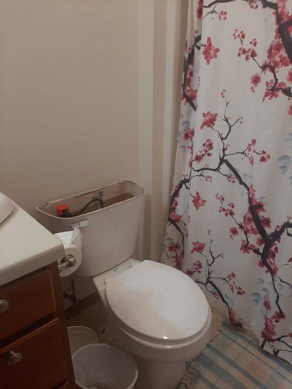Responded to service call for toilet that was constantly running. Diagnosed issue as failed flush valve gasket on Mansfield toilet. During inspection, discovered water heater was also leaking. Replaced flush valve gasket to resolve running toilet issue. Subsequently installed new 50-gallon natural gas power vent water heater to address the leaking unit.