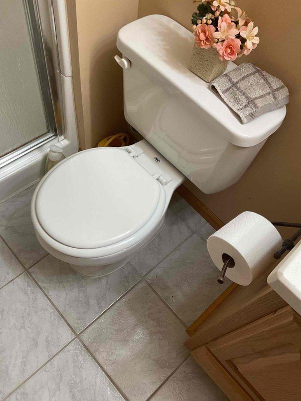 Conducted comprehensive plumbing assessment for residential property including kitchen faucet replacement, water softener relocation, bathroom faucet replacements in two bathrooms, and three toilet replacements. Provided detailed estimates for all requested plumbing work and documented existing fixture conditions through photographic documentation of bathroom facilities.