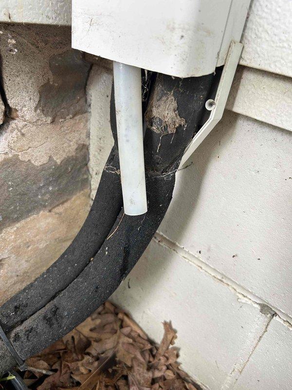 Responded to no-cool complaint on 10-year-old mini split system with active water leak from indoor head unit. Upon arrival, unit was off due to heavy water discharge. Connected cordless vacuum to exterior condensate drain line and extracted accumulated sludge and debris causing blockage. Cycled unit on and continued clearing drain line until flow was restored and no additional material was removed. Monitored system operation to verify proper drainage and cooling function restored.