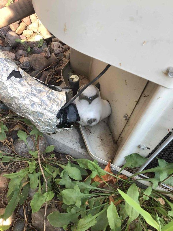 Responded to no cooling complaint on a 1997 residential air conditioning system. Upon arrival, found unit operating with low refrigerant charge and evaporator coil icing. Performed system diagnostics and pressure testing to assess condition. Due to the age of the equipment (26+ years old) and the extent of refrigerant loss, provided customer with repair versus replacement options. Coordinated customer with sales advisor for equipment replacement consultation and scheduled follow-up appointment.