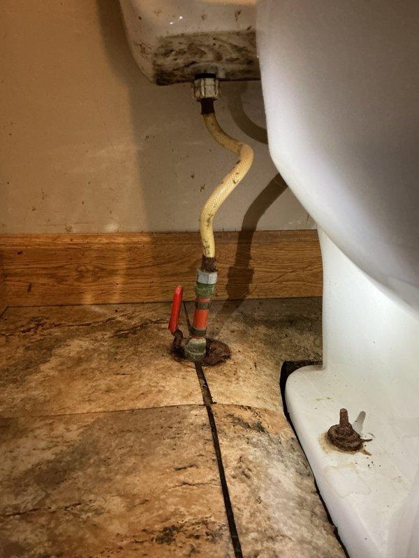 Responded to clogged toilet with drainage issues. Upon removal of toilet fixture, discovered tree roots infiltrating through the drain line and severe floor rot beneath and around the toilet base. Extensive water damage observed on surrounding wall surfaces with visible mold growth near supply line connections. Corroded plumbing components and deteriorated metal fittings documented. Property requires flooring replacement by qualified contractor prior to continuation of plumbing repairs. Follow-up service scheduled to replace PVC drain piping, install cleanout access, address water supply line concerns, and apply trenchless pipe liner. Drain line cleaning also required to clear root intrusion.