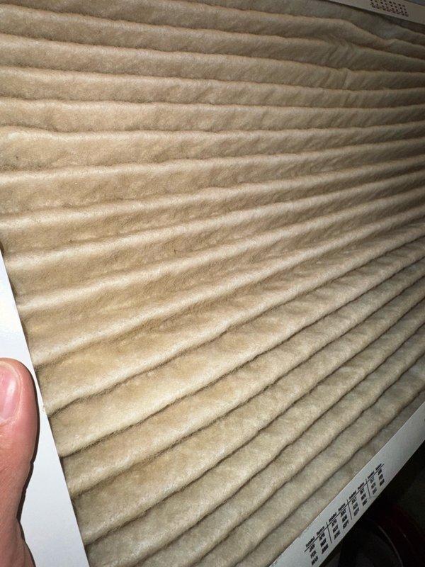 Responded to no cooling complaint with loud noise from outdoor unit. Upon arrival, found 6-year-old system with no previous maintenance history and outdoor coil heavily restricted with cottonwood debris, which property owner had recently cleaned. Inspected air filter and found it loaded with dust and particulate accumulation. Tested capacitor with multimeter, reading 48.7 μF, which was within acceptable range. Verified contactor and condenser fan motor operation—both functioning properly. Performed refrigerant pressure and temperature analysis: low side pressure 193 PSI with 17°F superheat and 67°F saturated temperature; high side pressure 270 PSI with 14°F subcooling and 88°F saturated temperature. Refrigerant charge levels confirmed adequate. Loud rattling noise persisted during compressor operation despite coil cleaning. Based on diagnostic findings, determined compressor is failing mechanically. Provided estimate for compressor replacement to resolve the issue.