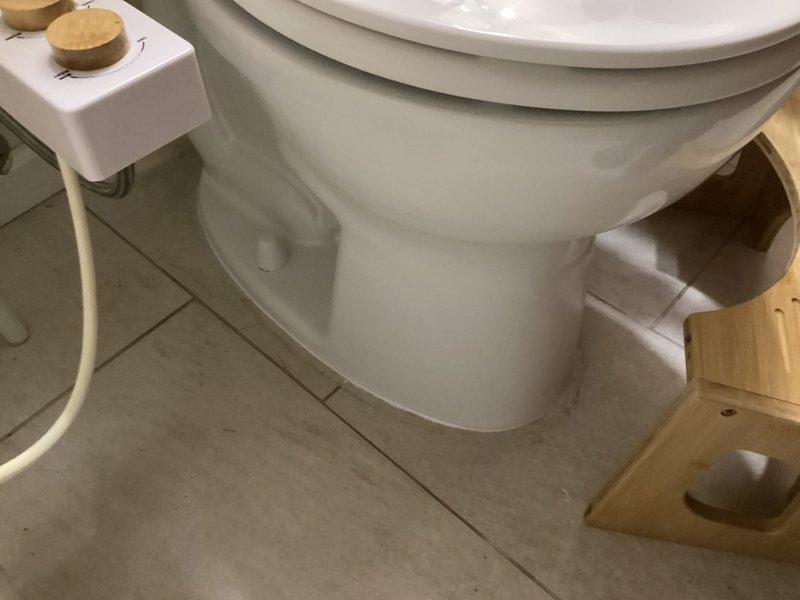 Responded to service call for leaking toilet. Upon inspection, determined that toilet required full replacement due to leak severity. Removed existing toilet fixture and disposed of old unit. Installed new Scott standard height toilet with customer's choice of bowl configuration. Replaced wax ring and closet bolts to ensure proper seal. Completed basic installation including securing fixture to floor flange, connecting water supply line, and testing for leaks. Verified proper flush operation and confirmed no water leakage at base or supply connection upon completion.
