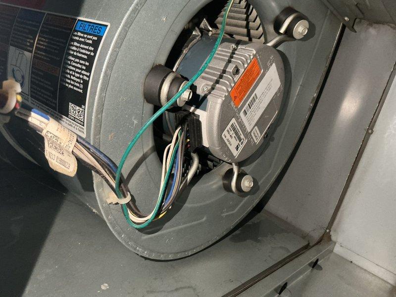 Responded to no cool complaint on residential HVAC system installed in 2021. Upon inspection, diagnosed failed furnace blower motor preventing air circulation through the system. Motor failure confirmed through visual inspection and operational testing. Unit components and wiring harness photographed for documentation. Blower motor determined to be covered under parts warranty as unit is less than ten years old. Special order replacement motor required due to specific model specifications. Customer notified that replacement motor will be ordered and installation will be scheduled upon arrival of the part.