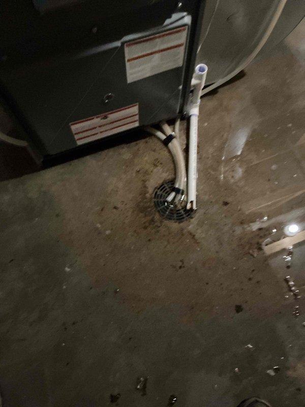 Responded to a no cooling call and member tune-up request for a 5-year-old natural gas furnace system. Upon arrival, discovered extensive water pooling around the furnace and on the concrete floor of the mechanical space. Diagnosed that water leakage occurred only when the HVAC system was operational and ceased when the unit was turned off, indicating a condensate drainage issue rather than an equipment malfunction. Inspected the condensate drain system and confirmed that the drain line was completely plugged, causing water to back up and overflow around the furnace base. No error codes were present on the unit at time of inspection. Documented the water damage with photographs showing standing water on the floor and moisture staining on the concrete surface. Coordinated with dispatch to schedule a specialized drains technician to clear the blocked condensate line and restore proper drainage function.