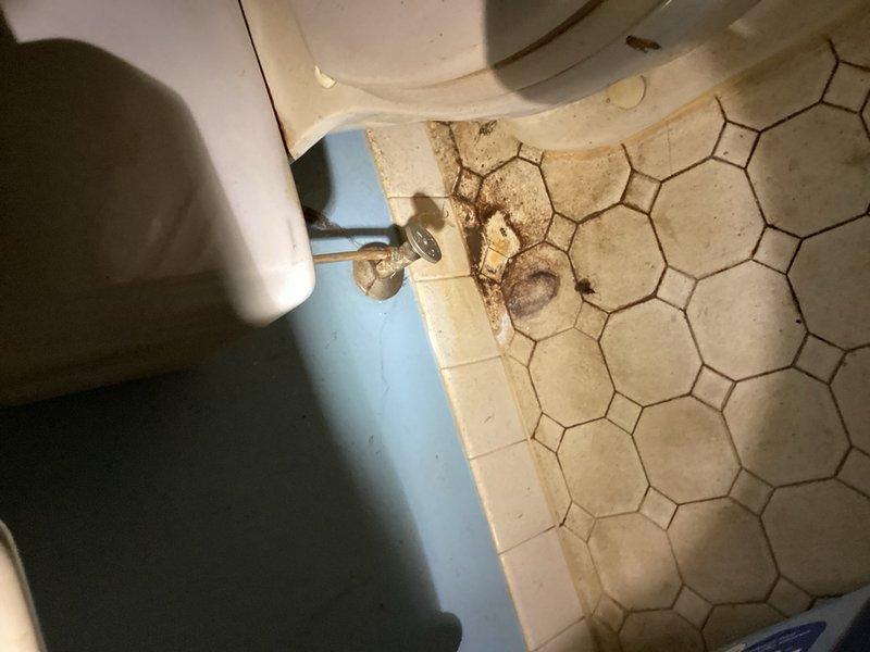 Responded to water leak complaint with damage visible in basement ceiling below upstairs bathroom. Upon investigation, identified active leak from toilet supply line serving unused upstairs bathroom fixture. Previous toilet flange repair completed the prior week did not resolve issue as leak source was determined to be the supply line rather than the wax ring or flange assembly. Observed water staining and deterioration at toilet base with damaged grout and tile material, along with corresponding water damage on basement wall and ceiling below. Shut off and capped the leaking toilet supply line as fixture is no longer in use. Verified no additional active leaks from bathroom sink or other fixtures. Leak successfully stopped by permanently capping the unused supply line.