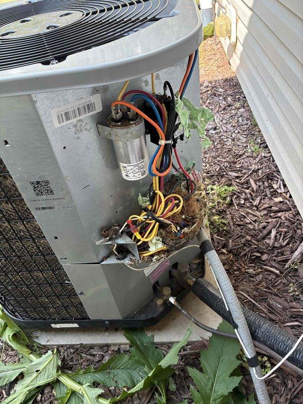 Responded to no-cool call on 3-year-old Gibson system. Discovered family of mice nesting in condenser electrical compartment with low-voltage control wire chewed through. Repaired damaged wiring by splicing connection, removed rodent debris, and performed preventive maintenance including condenser coil cleaning. Verified all electrical components operating within manufacturer specifications, confirmed 19-degree temperature differential across evaporator coil, and checked air filter condition. System restored to proper cooling operation.