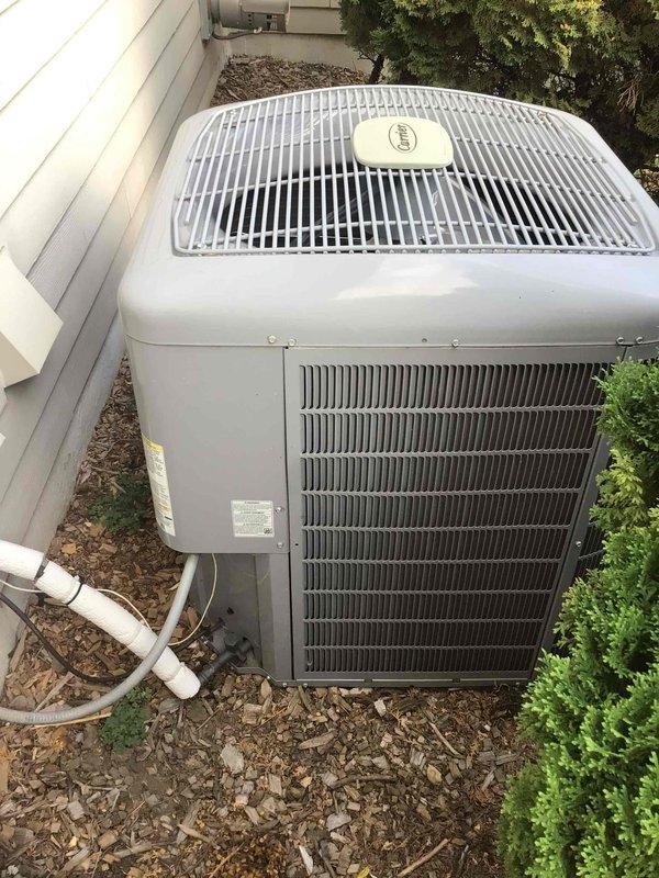 Completed comprehensive tune-up and maintenance on both air conditioning and furnace systems. Performed electrical testing on both units, confirmed proper operation of all components, and pressure-washed the outdoor Trane condensing unit to remove debris and ensure optimal airflow through the coil fins. Documented equipment information with photographs of model numbers, serial numbers, and manufacturer labels for service records, as unit ages were previously unknown.