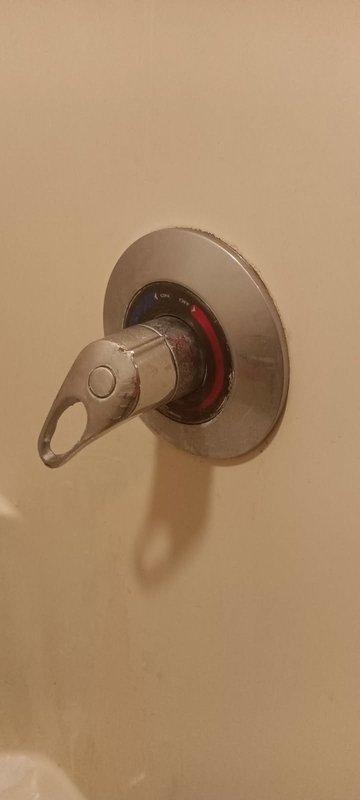 Responded to service call for leaky shower faucet and whole house water filter canister. Inspected both fixtures, assessed the source of leaks, and provided detailed estimates for repairs including shower valve replacement and filter housing O-ring or canister replacement. Customer declined all repair estimates at this time.