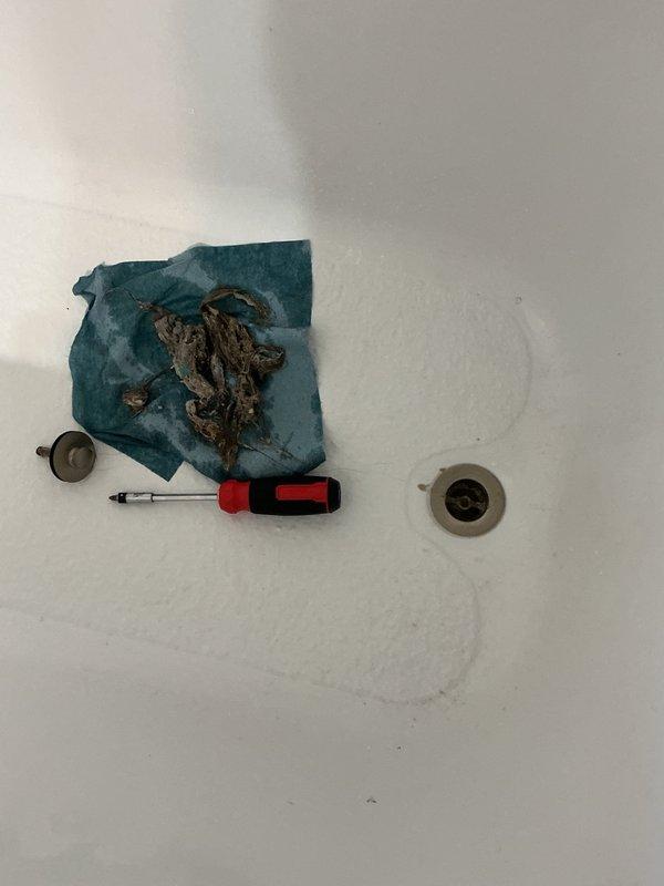 Responded to main floor bathroom drainage issues affecting both shower and sink fixtures. Removed significant accumulation of hair from bathtub drain and cleared heavy buildup of organic debris from bathroom sink drain. Performed thorough cleaning of both drain assemblies and conducted extensive water flow testing to verify proper drainage restoration and confirm blockages were completely eliminated.