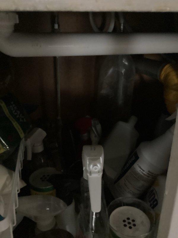 Completed comprehensive plumbing inspection of residential bathroom fixtures as part of family rewards program. Examined sink vanity area including chrome single-handle faucet, drain assembly, and under-sink plumbing connections including supply lines and P-trap configuration. All components found to be functioning properly with no visible leaks or drainage issues detected.