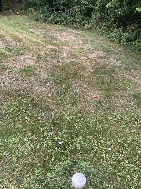 Responded to callback for floor drain flooding issue. Upon inspection, confirmed floor drain was not actively backed up at time of arrival. Identified that drainage pipe has improper pitch/back-pitch condition near sewer tank, causing recurring drainage problems. Advised customer that excavation and repitching of affected pipe section will be required to permanently resolve the issue.