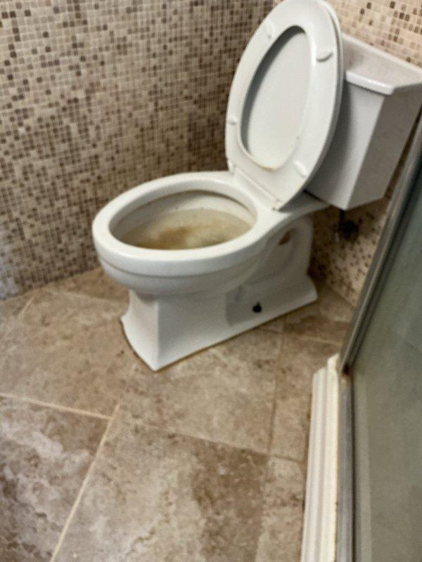 Responded to a non-flushing toilet in the basement. Upon diagnostic evaluation, determined that the toilet drained slowly with no contribution from other fixtures, indicating the blockage was isolated to the toilet drain or within the toilet trap itself. Augured the toilet to clear the obstruction and restore proper drainage flow. Following clearance of the blockage, performed multiple test flushes with toilet paper to verify complete removal of the stoppage and confirm the drain was functioning properly with adequate flow rate.