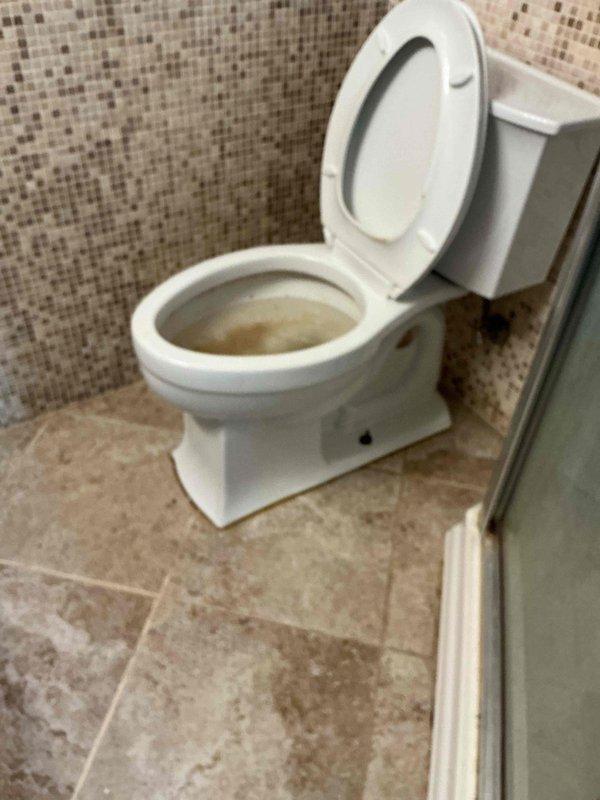 Responded to a non-flushing toilet in the basement. Upon diagnostic evaluation, determined that the toilet drained slowly with no contribution from other fixtures, indicating the blockage was isolated to the toilet drain or within the toilet trap itself. Augured the toilet to clear the obstruction and restore proper drainage flow. Following clearance of the blockage, performed multiple test flushes with toilet paper to verify complete removal of the stoppage and confirm the drain was functioning properly with adequate flow rate.