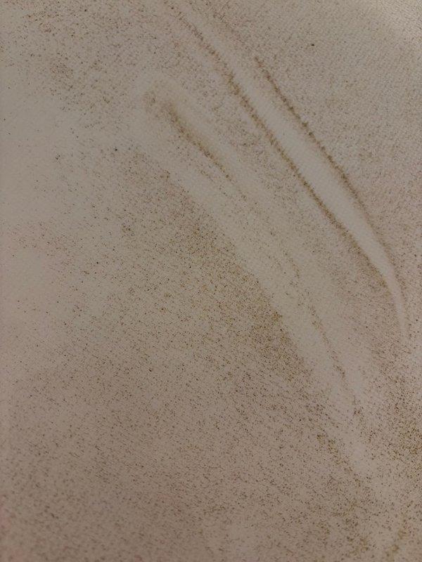 Responded to customer complaint of brownish sediment accumulating in bathtub after running hot water. Upon inspection, confirmed presence of fine granular sediment in hot water lines and identified improper installation of existing 3-year-old gas water heater. Documented sediment samples showing reddish-brown particulate matter consistent with internal tank corrosion and deterioration. Customer had previously attempted flushing the water heater twice with minimal improvement. Diagnosed that improper installation has accelerated sediment buildup and compromised unit performance. Provided estimate for replacement with 10-year Bradford White water heater installed to manufacturer specifications and code requirements to resolve ongoing sediment issues and ensure proper system operation.