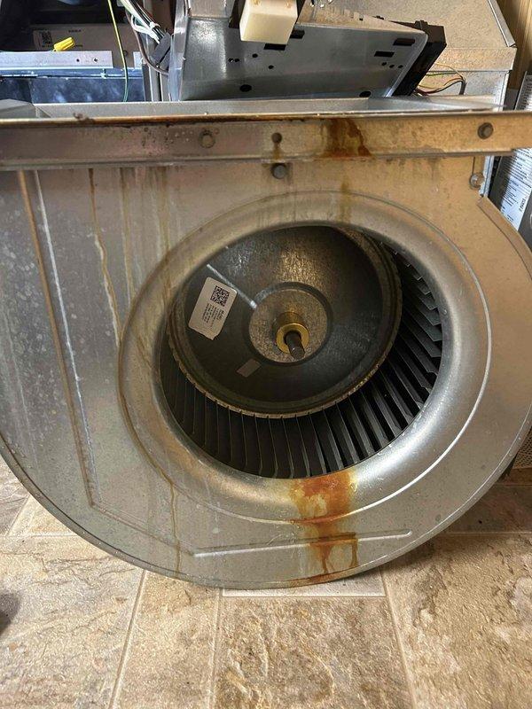 Completed comprehensive AC and furnace tune-up maintenance service. Upon inspection, identified multiple critical issues including a cracked evaporator coil drain pan with standing water accumulation, furnace unit pitched backward causing improper drainage, and outdoor condenser unit sunken into ground creating unlevel installation. Blower assembly showed significant rust staining from moisture exposure, and air filters displayed heavy dirt and debris accumulation with visible discoloration. Documented all findings with photographic evidence and initiated warranty verification process for the evaporator coil replacement while customer obtains quotes for complete AC system replacement due to extent of identified deficiencies.
