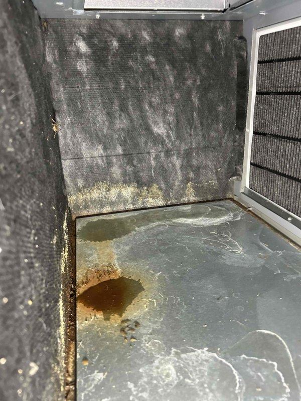 Completed comprehensive AC and furnace tune-up maintenance service. Upon inspection, identified multiple critical issues including a cracked evaporator coil drain pan with standing water accumulation, furnace unit pitched backward causing improper drainage, and outdoor condenser unit sunken into ground creating unlevel installation. Blower assembly showed significant rust staining from moisture exposure, and air filters displayed heavy dirt and debris accumulation with visible discoloration. Documented all findings with photographic evidence and initiated warranty verification process for the evaporator coil replacement while customer obtains quotes for complete AC system replacement due to extent of identified deficiencies.