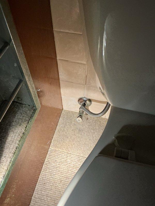 Completed annual plumbing inspection of residential property. All plumbing systems, fixtures, and water heater were examined and found to be in functional condition. Advised homeowner that main bathroom sink faucet shows signs of wear and may require replacement in the near future, providing cost estimate for planning purposes.