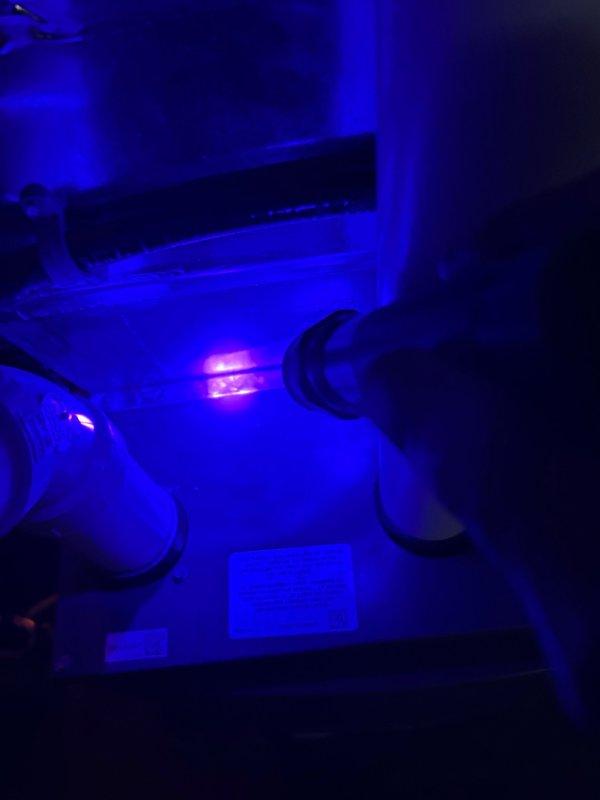 Performed follow-up inspection on R-410A residential air conditioning system with TXV that was previously found frozen and severely starved of refrigerant. Allowed unit adequate time to defrost from previous service call. Conducted diagnostic evaluation using UV leak detection equipment to identify source of refrigerant loss. System had previously exhibited critically high superheat of 56.4°F and negative subcooling of -0.7°F, indicating evaporator was not receiving proper liquid refrigerant flow. Investigated potential causes including refrigerant leak and liquid line restriction, particularly filter-drier obstruction. Documented equipment conditions with photographic evidence showing refrigerant lines, connections, and system components for further analysis and repair planning.
