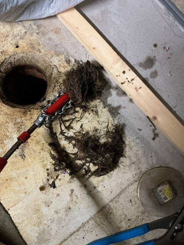 Performed camera inspection of main drain line due to concerns about potential tree root intrusion. Inspection revealed root infiltration at four separate locations along the line, with the fourth location showing the most severe blockage. Cleared all roots from the drain line and conducted follow-up camera inspection to verify complete removal and restore proper flow.