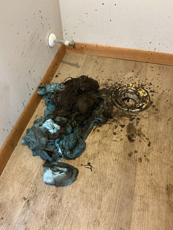 Responded to sewer backup occurring in basement bathroom during laundry use. Performed camera scope inspection of the sewer line and identified severe tree root intrusion causing the blockage. Removed toilet to access the main drain line and utilized multiple cable machines to clear the obstruction, extracting a massive amount of tree roots from the system. Cabled the shower drain and floor drain to restore proper flow throughout all basement bathroom fixtures. Reinstalled toilet, tested all drains for proper operation, and verified complete system functionality with adequate flow restored.