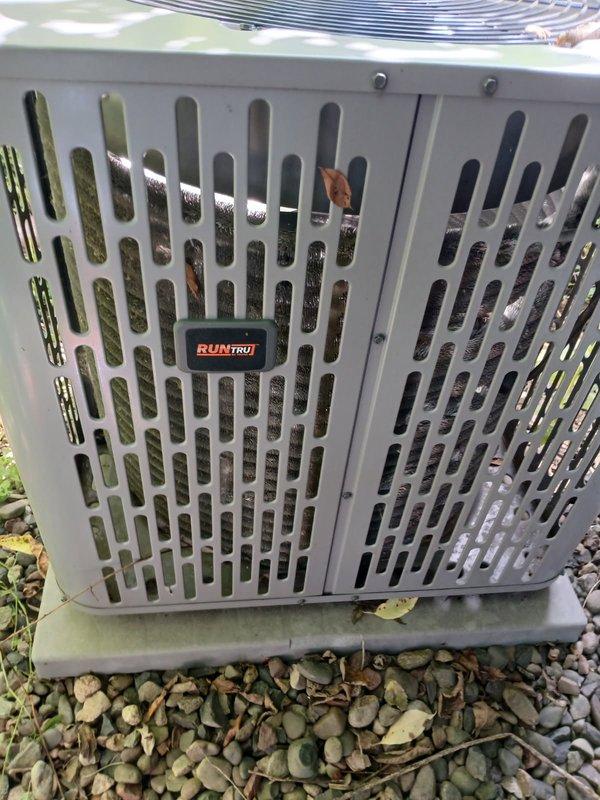 Responded to no cooling complaint following power outage. Upon arrival, system operated normally in heating mode but failed to initiate cooling cycle. Performed diagnostic testing by jumping thermostat wires at wall unit, which successfully engaged outdoor condensing unit, indicating thermostat issue. Replaced weak batteries in thermostat. Discovered and removed rodent nest from outdoor condenser unit that posed potential airflow restriction and fire hazard. Cycled system through multiple cooling calls to verify proper operation. All components functioning correctly upon departure.