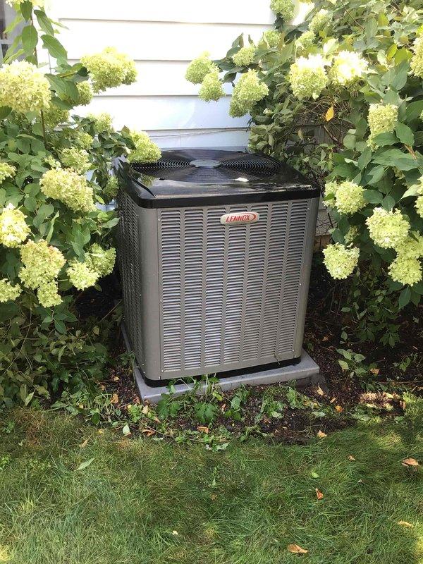Completed comprehensive annual maintenance on both air conditioning and furnace systems, approximately one year old. Performed full tune-up procedures on both units, including inspection, cleaning, and testing of all components. Both systems operating within manufacturer specifications with no deficiencies noted. Trimmed back hydrangea bushes that were encroaching on outdoor condensing unit to restore proper airflow clearance around equipment. Homeowner indicated landscaper will relocate plants permanently in the future.