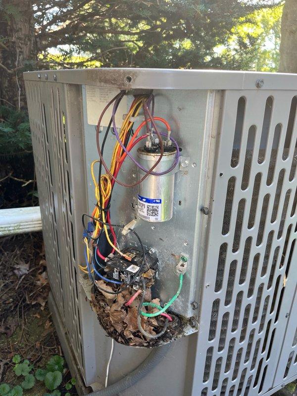 Responded to no cool call on 5-year-old central air conditioning system. Upon arrival, exterior breaker was in off position due to loud grinding noise reported by homeowner the previous evening. Homeowner also reported lights dimming during compressor startup throughout the summer season.

Restored power at exterior disconnect and observed normal operation with no abnormal noise present. Performed comprehensive electrical diagnostics including compressor winding resistance testing, contactor operation, capacitor values, and voltage measurements. All electrical components tested within manufacturer specifications. 

Cycled system power multiple times attempting to replicate reported grinding noise condition with negative results. Based on symptom description and dimming lights history, preliminary assessment indicates possible hard start condition or compressor start failure on single occurrence.

Interior inspection of condenser unit revealed significant accumulation of organic debris 
