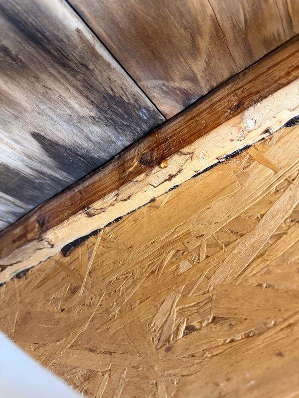 Responded to water leak emergency with water penetrating from main floor master bathroom through ceiling into basement, pooling in light fixture. Previous contractors had capped lines but were unable to identify leak source. Conducted systematic diagnostic testing of master bathroom plumbing fixtures and discovered compromised grout lines in shower enclosure allowing water infiltration into subfloor and ceiling cavity below. Documented water damage to ceiling joists and OSB wall panels with visible staining and moisture penetration. Recommended complete shower grout restoration or full shower replacement to resolve leak source and prevent further structural damage.