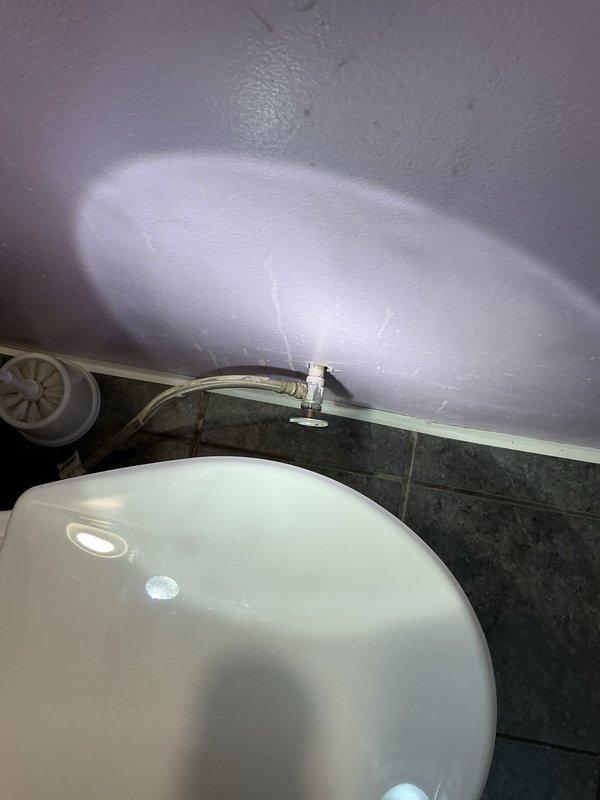 Completed annual plumbing inspection of residential property including water heater, laundry connections, and bathroom fixtures. All plumbing systems found to be in good working condition with no leaks or deficiencies noted. Cleaned water heater filter and installed hose adapter to improve accessibility for future maintenance.