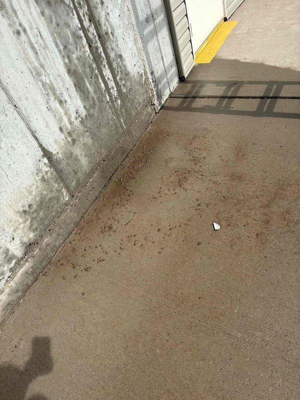 Responded to no-cool complaint on 10-year-old Dacon mini split system displaying flashing green error light. Upon inspection, discovered outdoor condenser coil completely obstructed with hardened gypsum dust buildup that had solidified to concrete-like consistency, preventing proper airflow and heat exchange. Thoroughly cleaned condenser coil to restore airflow and system operation. Verified proper cooling performance with 20+ degree temperature split across evaporator coil. Monitored system operation for 20 minutes to confirm stable performance and error code clearance. Unit returned to normal cooling operation.