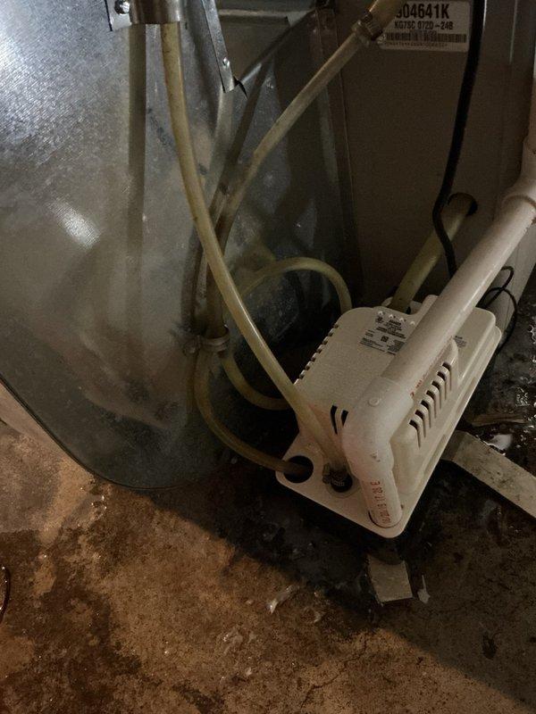 Responded to service call for reported water heater making unusual sounds and lack of hot water. Upon inspection of the Bradford White tanked water heater unit, determined the water heater itself was functioning properly with no leaks or mechanical issues present. Investigation revealed the actual source of concern was a failed condensate pump on the adjacent furnace system, which was leaking water in the mechanical room. Removed the old malfunctioning condensate pump and installed a new replacement unit to restore proper HVAC condensate drainage and eliminate the water leak.