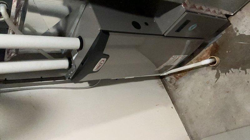 Performed routine maintenance flush on a 9-year-old tanked water heater as part of scheduled tune-up service. Drained sediment buildup from tank bottom to maintain heating efficiency and extend equipment lifespan. Inspected water heater components and confirmed all systems operating within normal parameters with no leaks, corrosion, or performance issues detected.