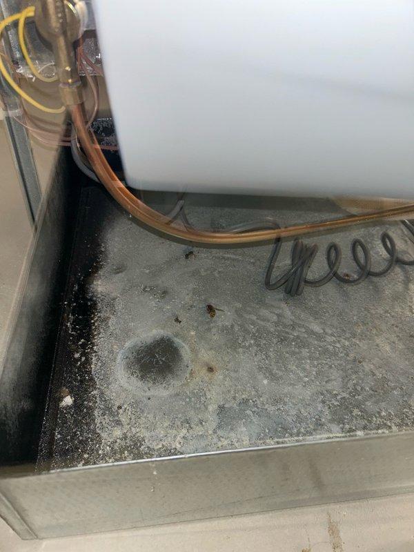 Responded to no cooling complaint on first floor system in 2019-built home where temperature would not drop below 80 degrees. Diagnosed failed dual run capacitor reading 0/5 MFD on a rated 45/5 MFD unit. Replaced capacitor with new unit, restoring proper compressor and condenser fan motor operation. Cleaned evaporator and condenser coils to ensure optimal heat transfer. Verified proper cooling operation from indoor air handler across all zones. Inspected condensate safety switch for proper function. System restored to full cooling capacity and operating within normal parameters.