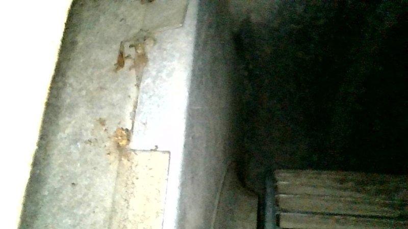 Performed furnace maintenance on 26-year-old system using promotional coupon. Tested system operation in both first and second stage heating modes. Discovered foam debris lodged in blower wheel, which correlated with unusual sounds reported by homeowner over recent weeks. Unable to verify gas pressure readings due to inoperable gas shutoff valve that would not turn. Recommended scheduling equipment replacement consultation for both furnace and air conditioning system due to age of equipment and current mechanical issues. Documentation photos captured of system components and workspace conditions.
