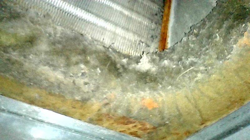 Completed comprehensive furnace inspection as part of promotional BOGO tune-up service. Thoroughly examined heat exchanger and found it to be in good condition with no cracks, corrosion, or structural concerns. Inspected all furnace components including burner assembly, blower motor, and ductwork connections in attic space. Verified proper operation of all safety controls and confirmed unit is functioning within manufacturer specifications. Documented existing HVAC infrastructure including metal ductwork and insulation conditions showing age-related wear. All systems operational with no immediate repairs required. Provided technical consultation regarding equipment condition to assist with future replacement planning decisions for both heating and cooling systems.