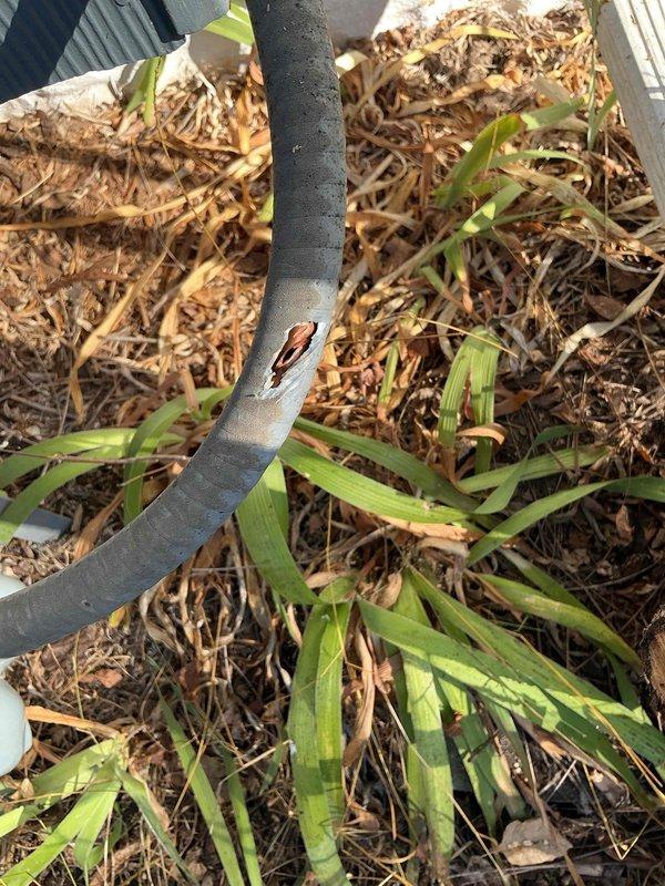 Responded to gas leak emergency on 1-year-old HVAC system where private gas line was damaged by chainsaw during yard work. Upon arrival, confirmed gas meter had been locked and tagged out by Xcel Energy Cooperative due to active leak in 3/8" copper gas line. Performed thorough inspection and documentation of the damaged line, which showed visible breach in the copper tubing near the HVAC unit exterior. Photographed damage site showing compromised gas line section among landscaping area with mulch and vegetation. System was non-operational due to gas supply shutoff for safety. Ordered replacement parts for copper gas line repair and scheduled return visit for permanent repair once materials arrive. Ensured site remained safe and secure with utility lockout in place.