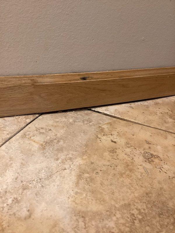 Responded to water leak in basement. Upon inspection, discovered a cracked garbage disposal causing leak on sidewall, and a toilet paper holder mounting bracket that had penetrated the drain stack, creating two holes in the upstairs bathroom waste pipe. Replaced the damaged garbage disposal unit. Cut access opening in wall to expose the compromised section of drain stack. Removed and replaced the damaged section of pipe to eliminate the penetration holes and restore proper drainage function. All repairs completed and system tested for proper operation.