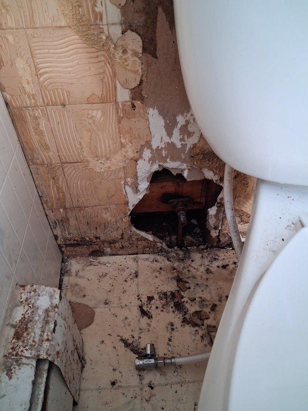 Responded to emergency plumbing call for broken toilet supply line in 70-year-old residential property with original plumbing infrastructure. Upon arrival, found water supply had been shut off to prevent further damage. Inspection revealed the 3/8-inch supply line to the toilet had completely snapped off at the connection point, requiring immediate replacement.

Assessed the extent of damage to surrounding wall and floor areas, which showed significant deterioration from water exposure. The wall exhibited exposed substrate materials, including damaged drywall and backing board, with visible copper piping within the wall cavity. Floor area contained debris from deteriorated building materials and evidence of prolonged moisture intrusion.

Removed the failed 3/8-inch toilet supply line and prepared connection points for new installation. Verified the integrity of the shutoff valve and connection threads to ensure proper seal. Installed new 3/8-inch braided stainless steel supply line wit