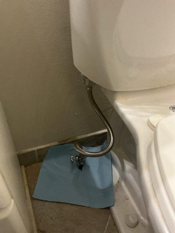 Responded to a water leak investigation that required collaboration with restoration contractor to locate source behind wall. Upon return visit, replaced faulty toilet water supply line with new braided stainless steel flex line and coupling assembly, resolving the leak issue.